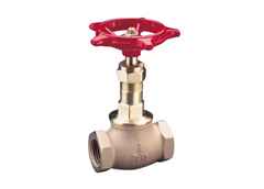 pegler Bronze globe valve