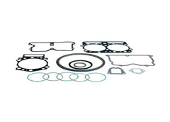 Gaskets and seal